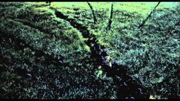 The Lost World Score