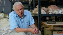 The largest thighbone ever found - Attenborough and the Giant Dinosaur: Preview - BBC One