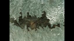 Winter's End (Super 8)