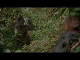Gorillas In The Mist Trailer HD