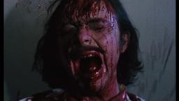 Arrow Video Selects - Basket Case by Louise Buckler