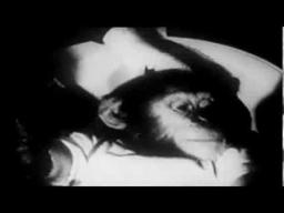 LATE AT NIGHT - VOICES OF ORDINARY MADNESS - XIAOLU GUO - TRAILER