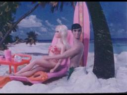 Anita Rosenberg's NYU thesis film "Bachelorette Pad" 1982