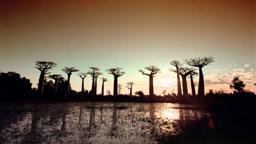 The Greatest Places (1998) | Official Teaser