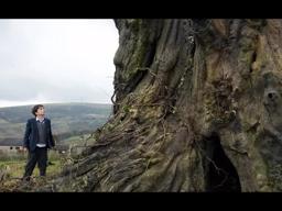 A MONSTER CALLS - TEASER TRAILER [HD]