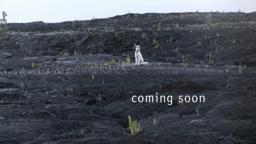 Official Theatrical Trailer