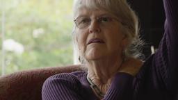 FFF 2017 - Trailer - Circus Kid