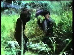 CLASH OF THE NINJAS trailer