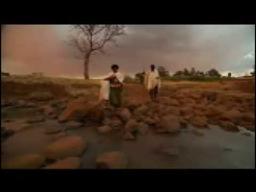 trailer - a walk to beautiful