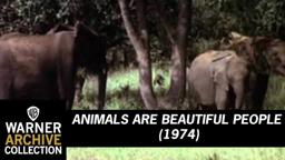Animals Are Beautiful People (Original Theatrical Trailer)