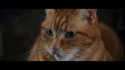 A Street Cat Named Bob - Stairwell Clip - At Cinemas November 4