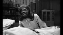 John Landis on JUNGLE CAPTIVE