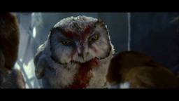 Legend of the Guardians: The Owls of Ga'Hoole An IMAX 3D Experience Trailer