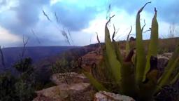 Africa Fusion Official HD Trailer