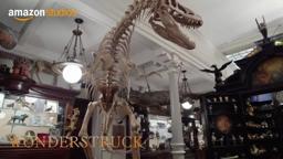 Wonderstruck - Featurette: Cabinet of Wonders | Amazon Studios