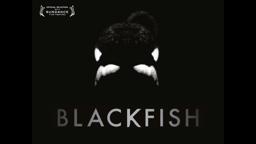 Blackfish - Official Trailer