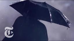 'Fast, Cheap and Out of Control' | Critics' Picks | The New York Times