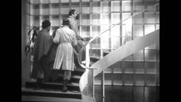 The Black Cat - Trailer