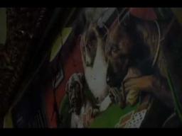 Death by Engagement Official Movie Trailer