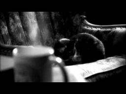 The Whisperer in Darkness