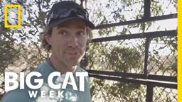 Behind the Scenes | Man v. Lion