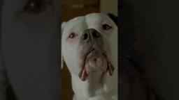 "Andrea Riseborough and Brenda Blethyn are at the top of their game" (Hollywood Reporter)