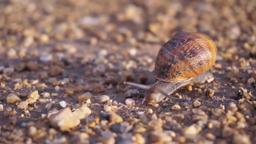 Stockholm My Love trailer