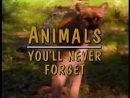 Animals You'll Never Forget (VHS)