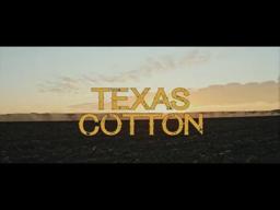 TEXAS COTTON (Official Teaser)