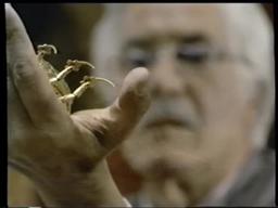 Original Trailer (VHS Capture)