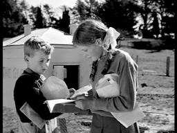 School In The Mail-Box