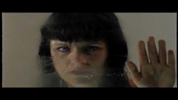 Quadro Branco Trailer