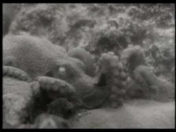 The Incredible Petrified World (1957) trailer