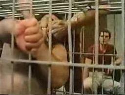 Circle of Power - Buddy in a cage
