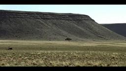 AFRICA LIGHT / GRAY ZONE - Unreleased Scenes