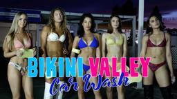 BIKINI VALLEY CAR WASH   TRAILER 2