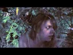 The Desires of Dawn Trailer