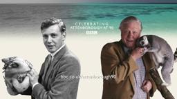 Interview with David Attenborough - Attenborough at 90 - BBC