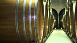 SOMM - Official Trailer