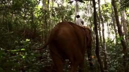 Last of the Elephant Men - Trailer