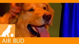 Air Bud Sports News - Halftime Show