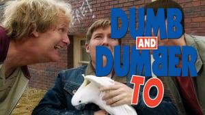 Dumb and Dumber To