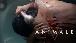Animale