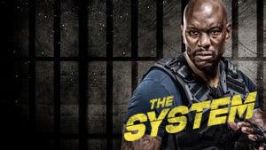 The System