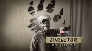Director by Night
