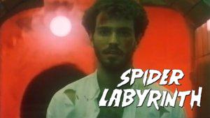 The Spider Labyrinth
