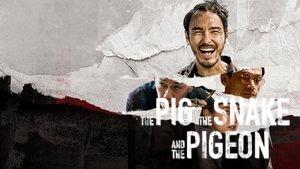 The Pig, the Snake and the Pigeon