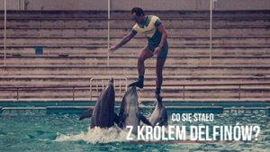 The Last Dolphin King