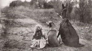 Through the Back Door