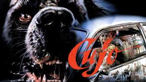 Cujo